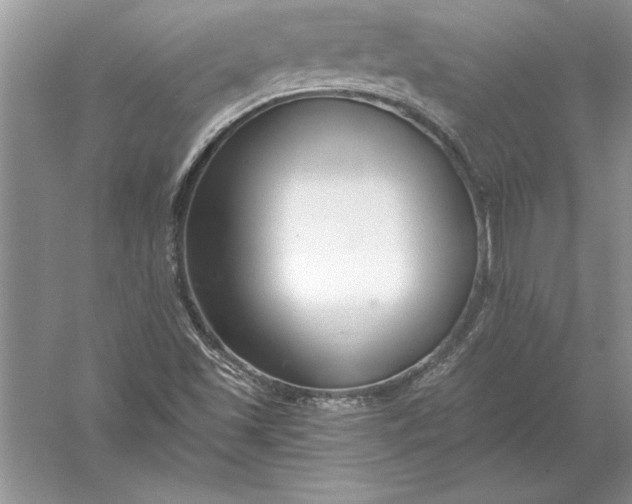 X0000056001501200509092032