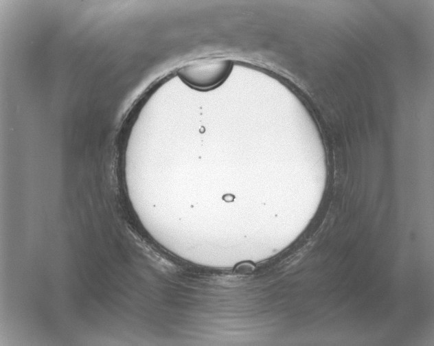 X0000056001502200509092032