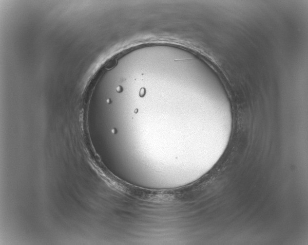 X0000056001503200509092032