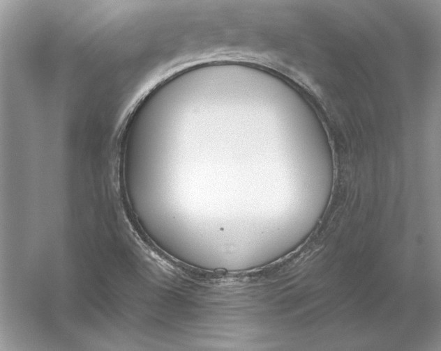 X0000056001504200509092032