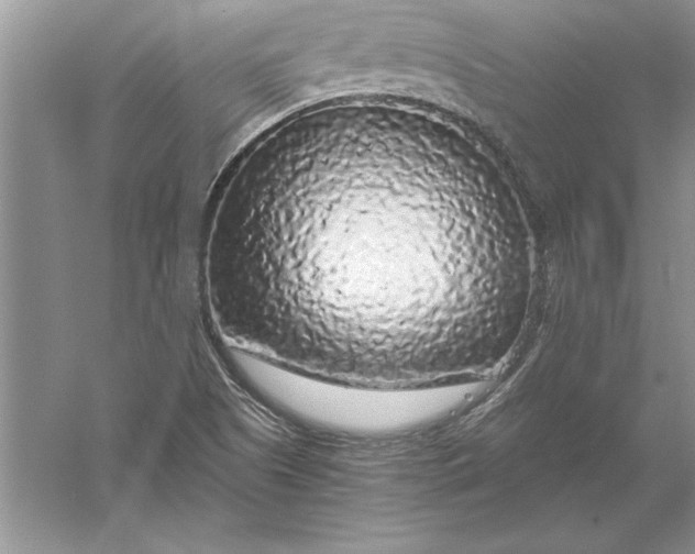 X0000056001505200509092032