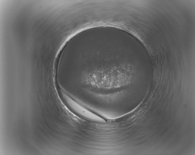 X0000056001508200509092032