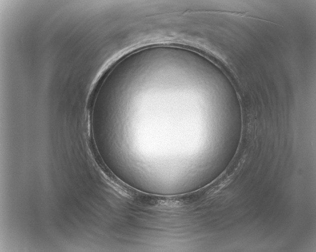 X0000056001509200509092032