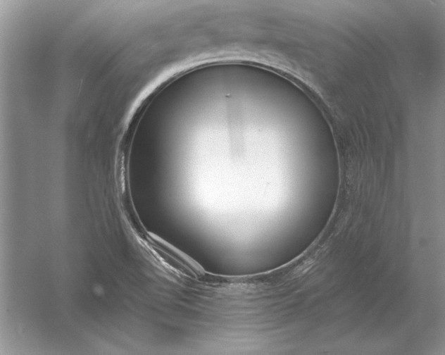 X0000056001510200509092032