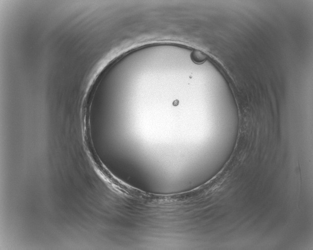 X0000056001511200509092032