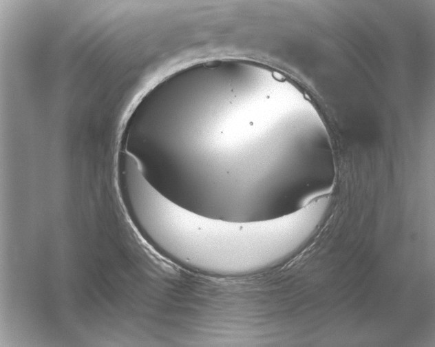 X0000056001512200509092032