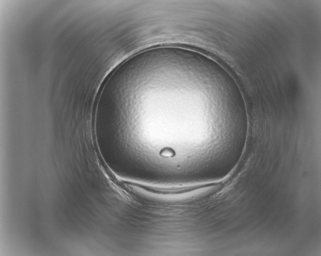 X0000056001513200509092032