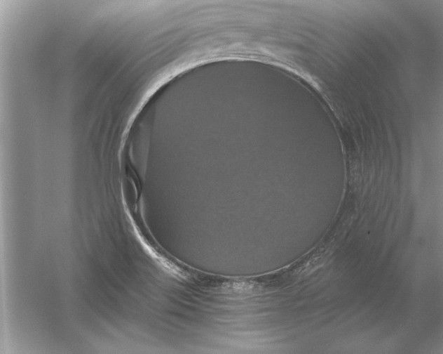 X0000056001515200509092032