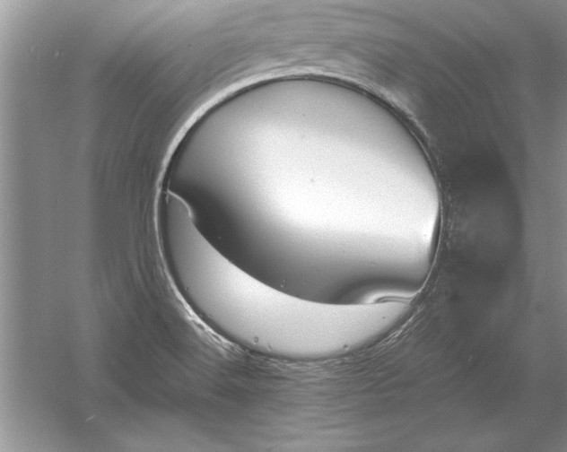 X0000056001516200509092032