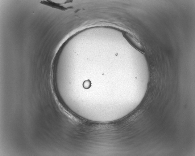 X0000056001518200509092032