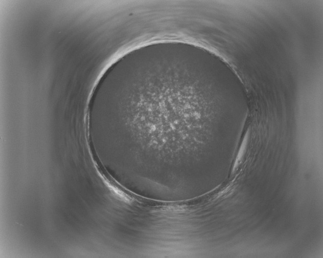 X0000056001519200509092032