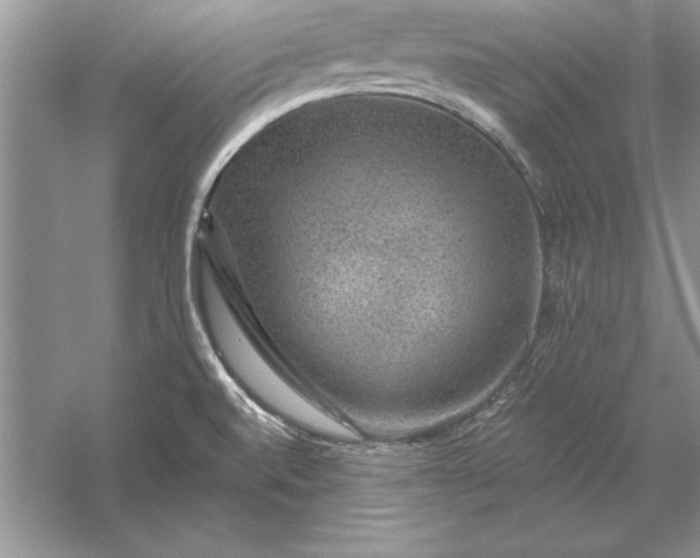 X0000056001520200509092032