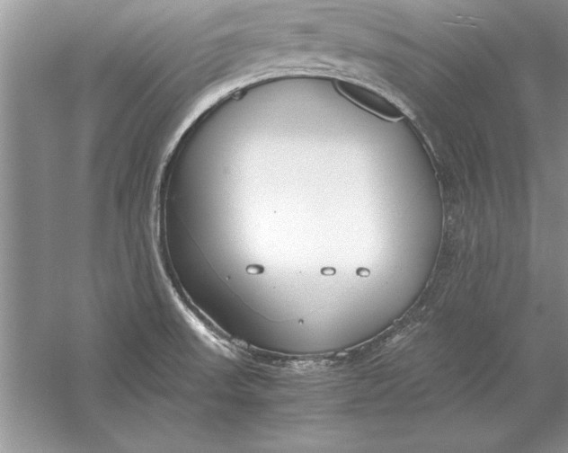 X0000056001523200509092032