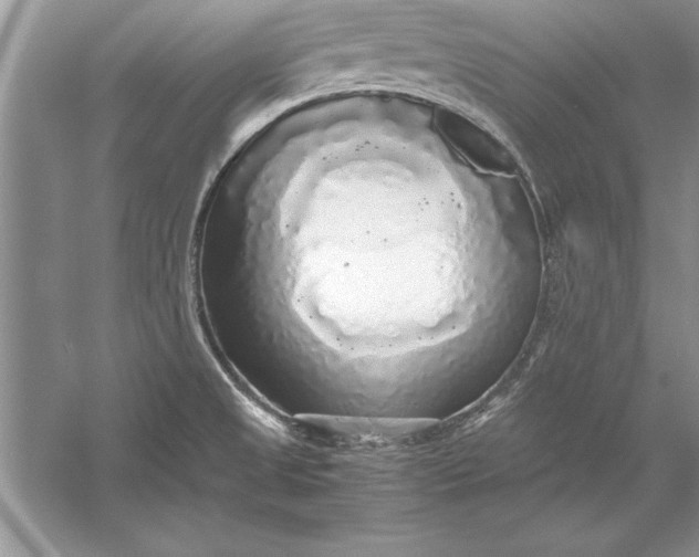 X0000056001525200509092032