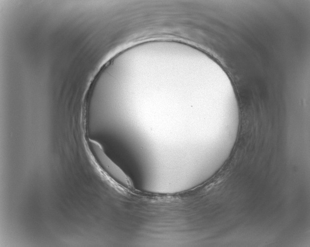 X0000056001526200509092032