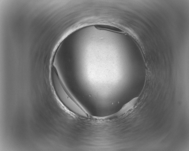 X0000056001528200509092032