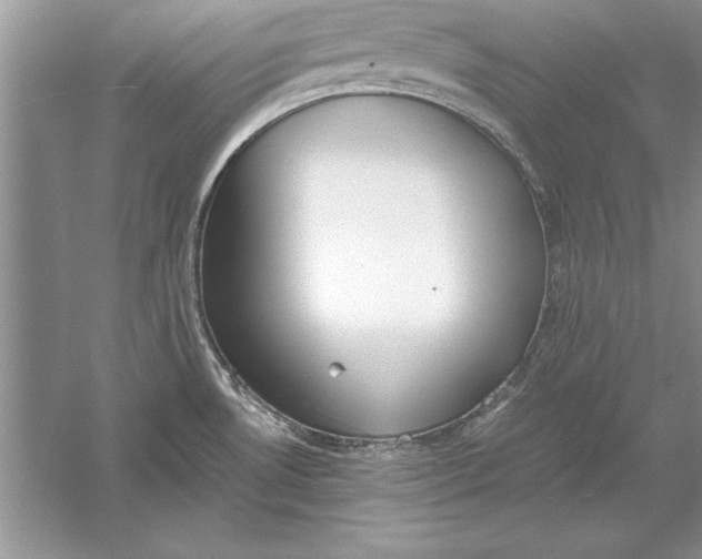 X0000056001530200509092032