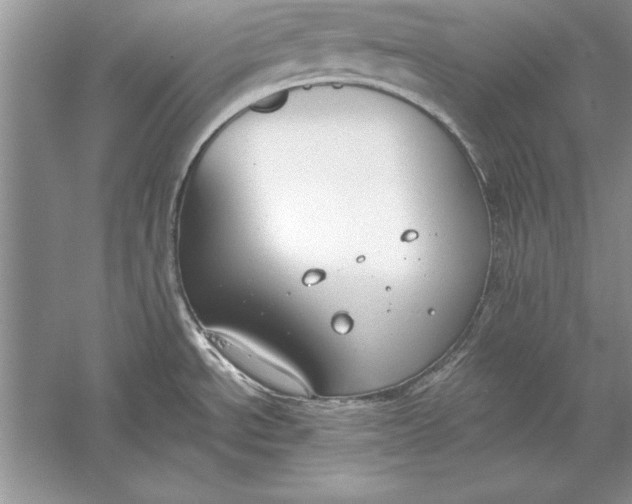 X0000056001534200509092032