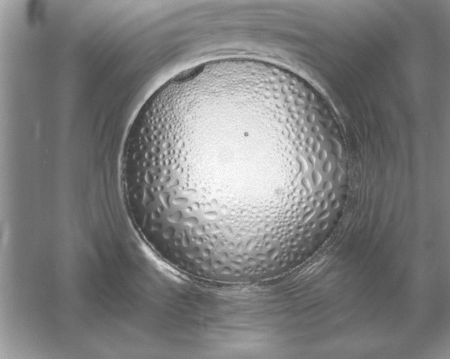 X0000056001535200509092032