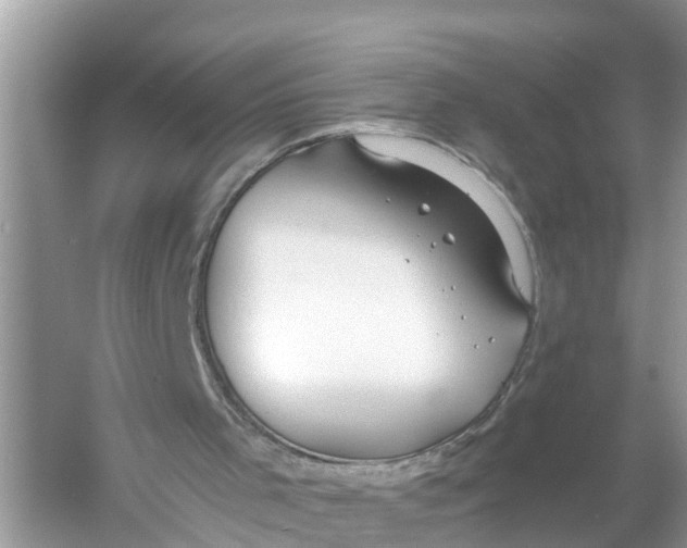 X0000056000001200509162330