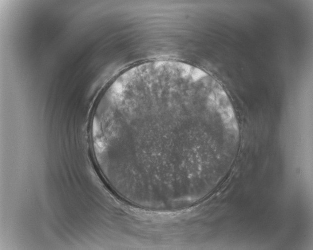 X0000056000002200509162330