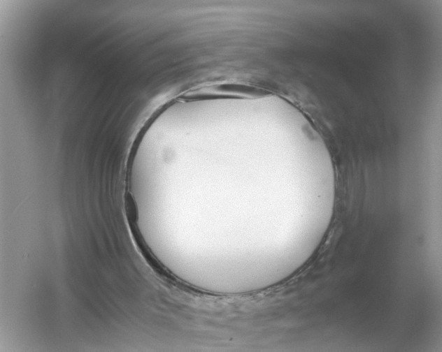 X0000056000003200509162330