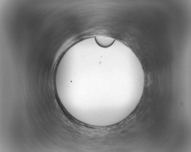 X0000056000004200509162330