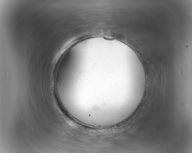 X0000056000005200509162330