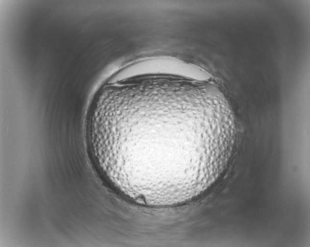 X0000056000006200509162330