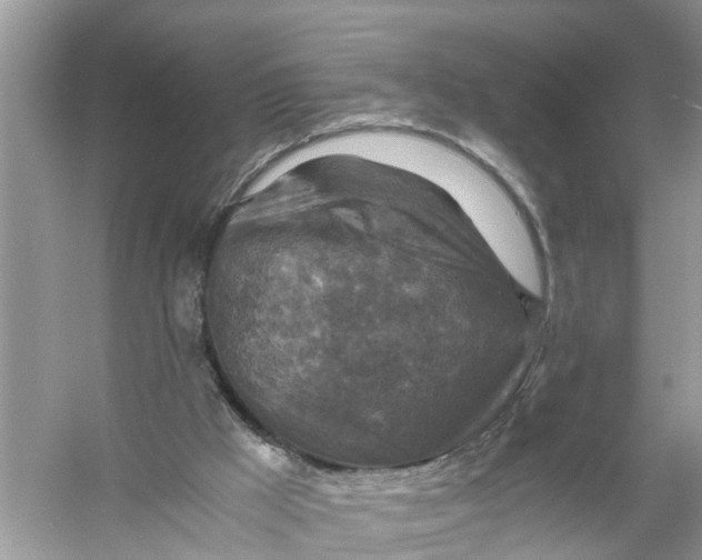 X0000056000009200509162330