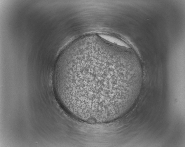 X0000056000010200509162330