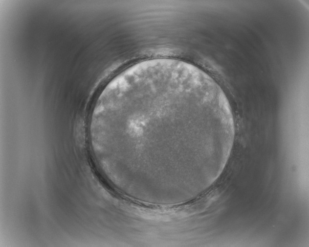 X0000056000012200509162330