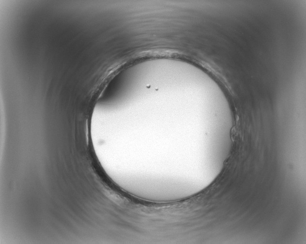 X0000056000013200509162330