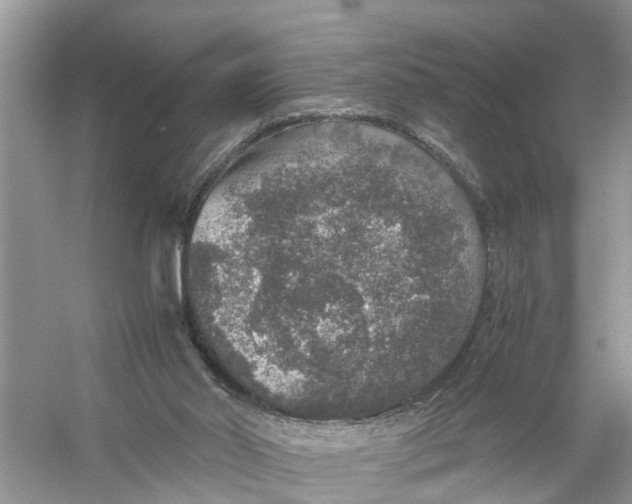 X0000056000014200509162330