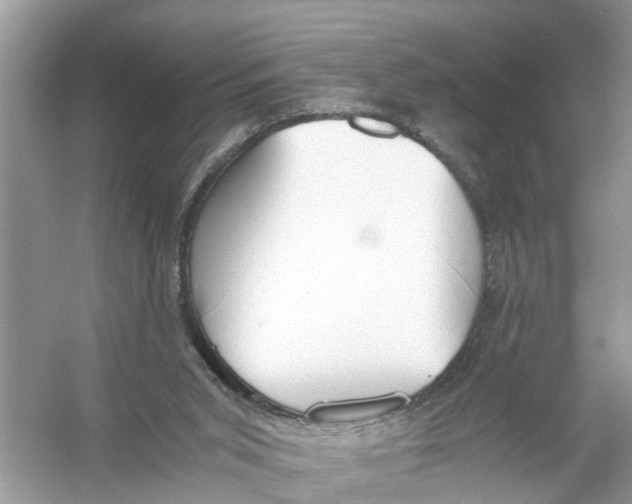 X0000056000015200509162330