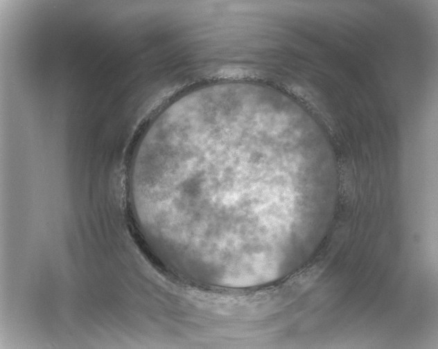 X0000056000016200509162330