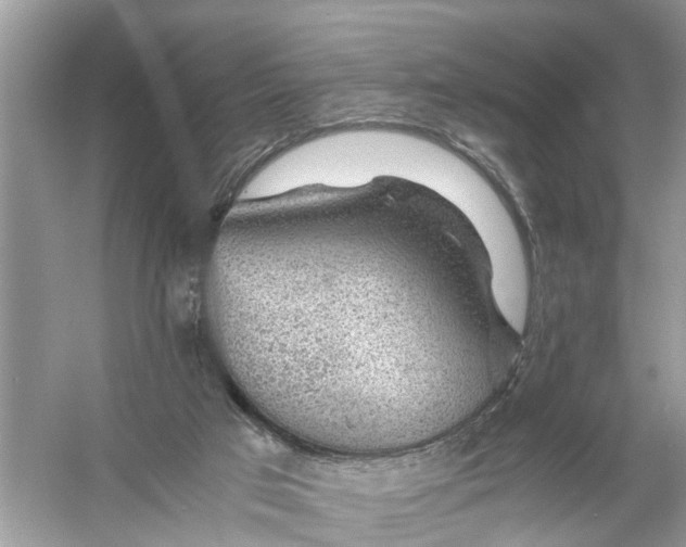 X0000056000017200509162330