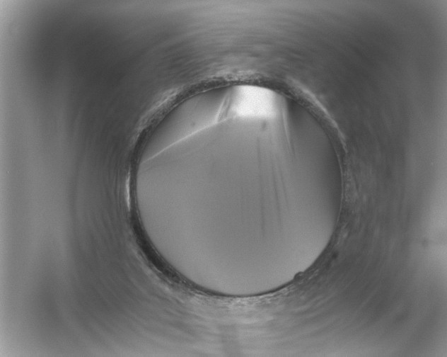 X0000056000019200509162330