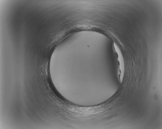 X0000056000023200509162330