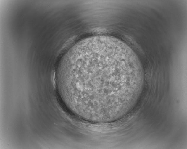 X0000056000024200509162330