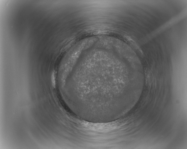 X0000056000026200509162329