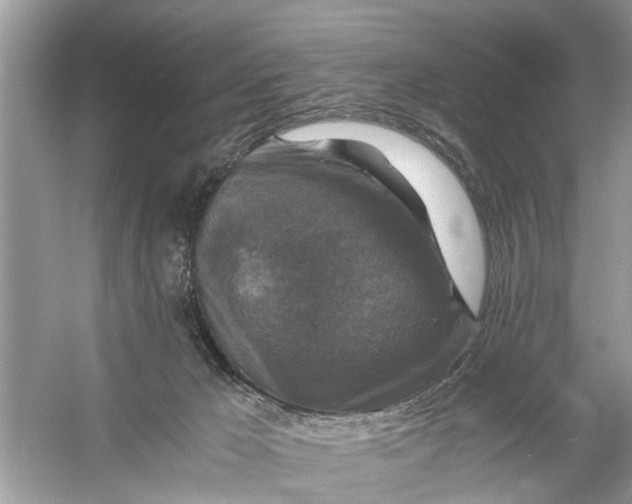 X0000056000029200509162329