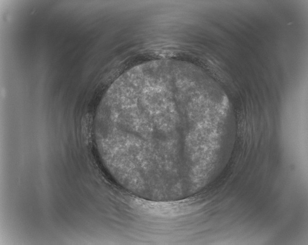 X0000056000030200509162329