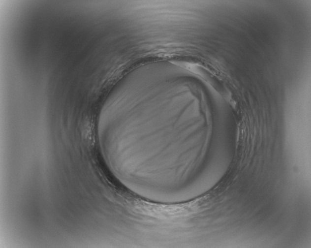 X0000056000031200509162329