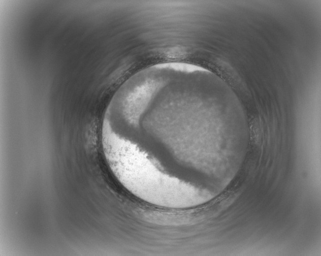 X0000056000032200509162329