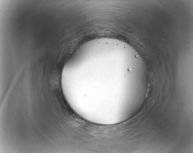 X0000056000033200509162329