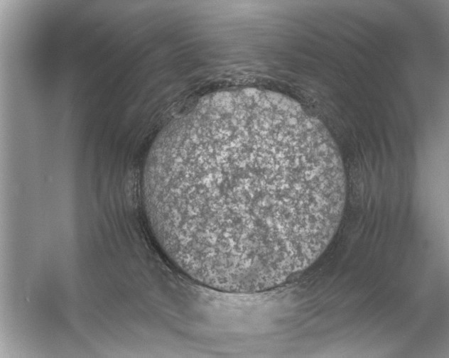 X0000056000034200509162329