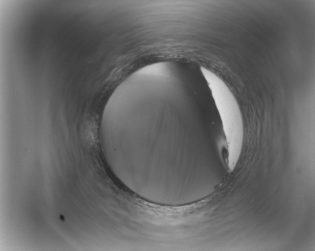 X0000056000035200509162329