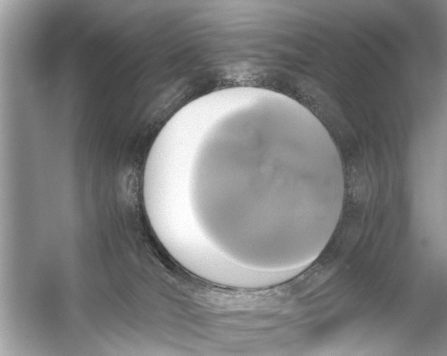 X0000056000036200509162329