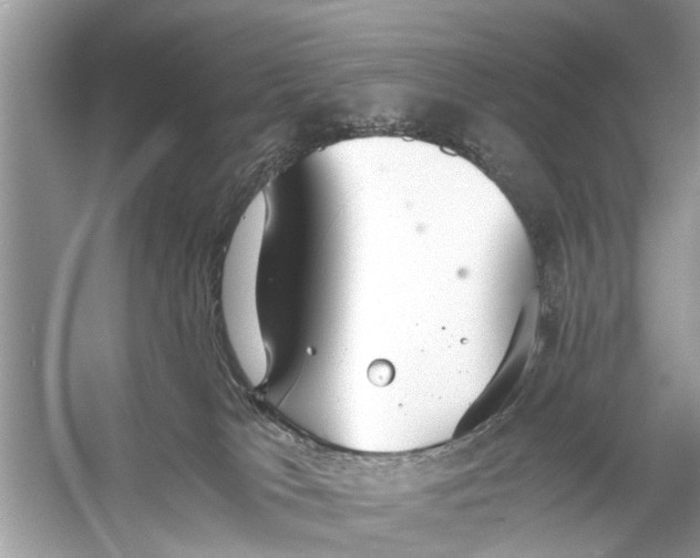 X0000056000037200509162329